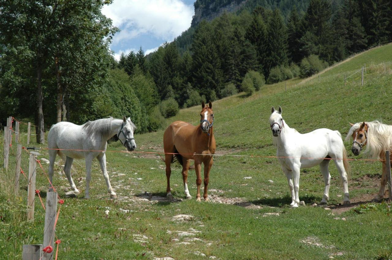 Tomasoethof Villa Castelrotto Dış mekan fotoğraf