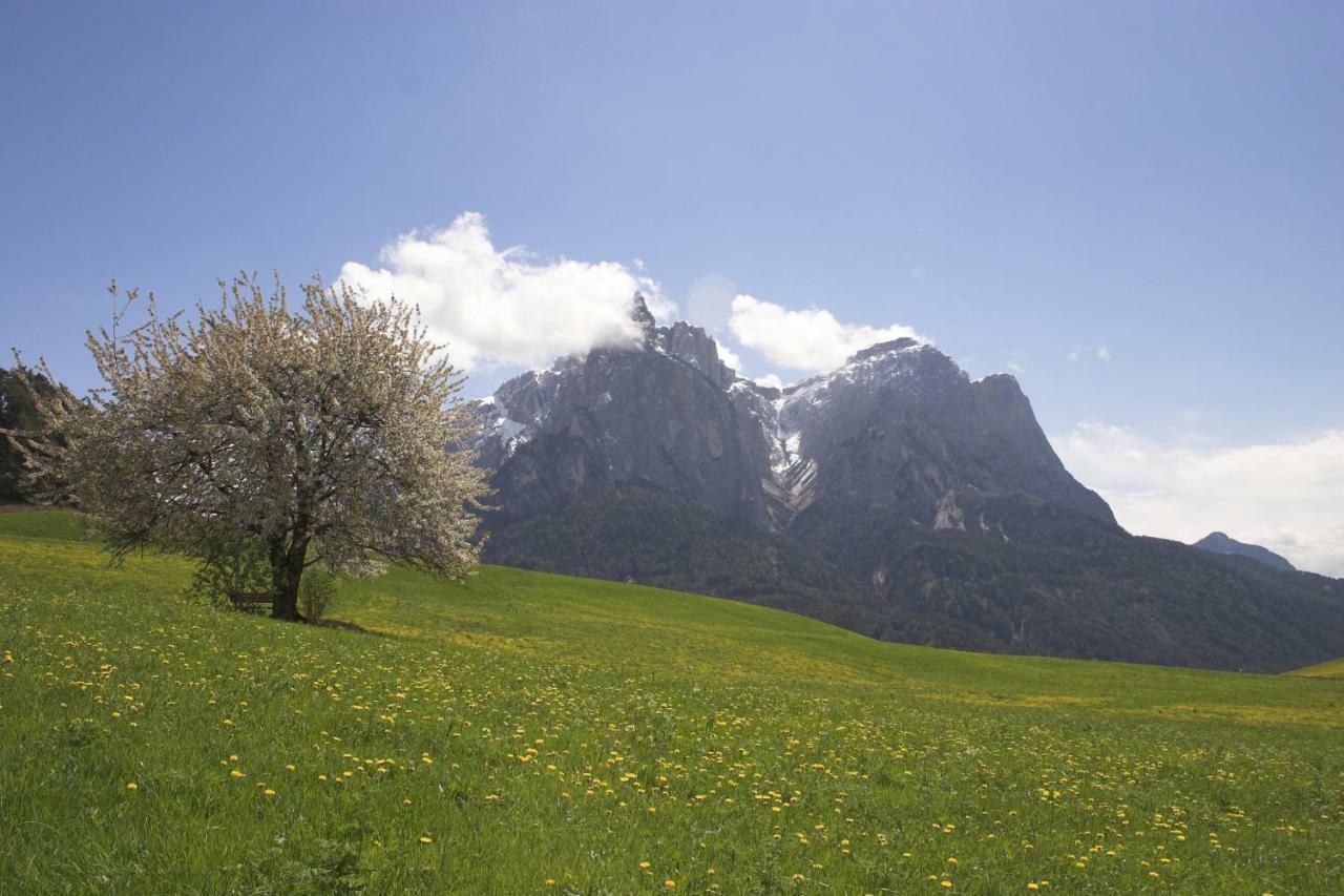 Tomasoethof Villa Castelrotto Dış mekan fotoğraf